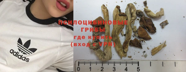 мяу мяу мука Арсеньев
