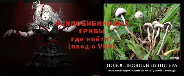 ALPHA PVP Аркадак
